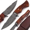 Journeyman Damascus Steel Walnut Wood Handle Fixed Blade Outdoor Knife -Edge Crafters Hub DHK2447 10065.1621966485